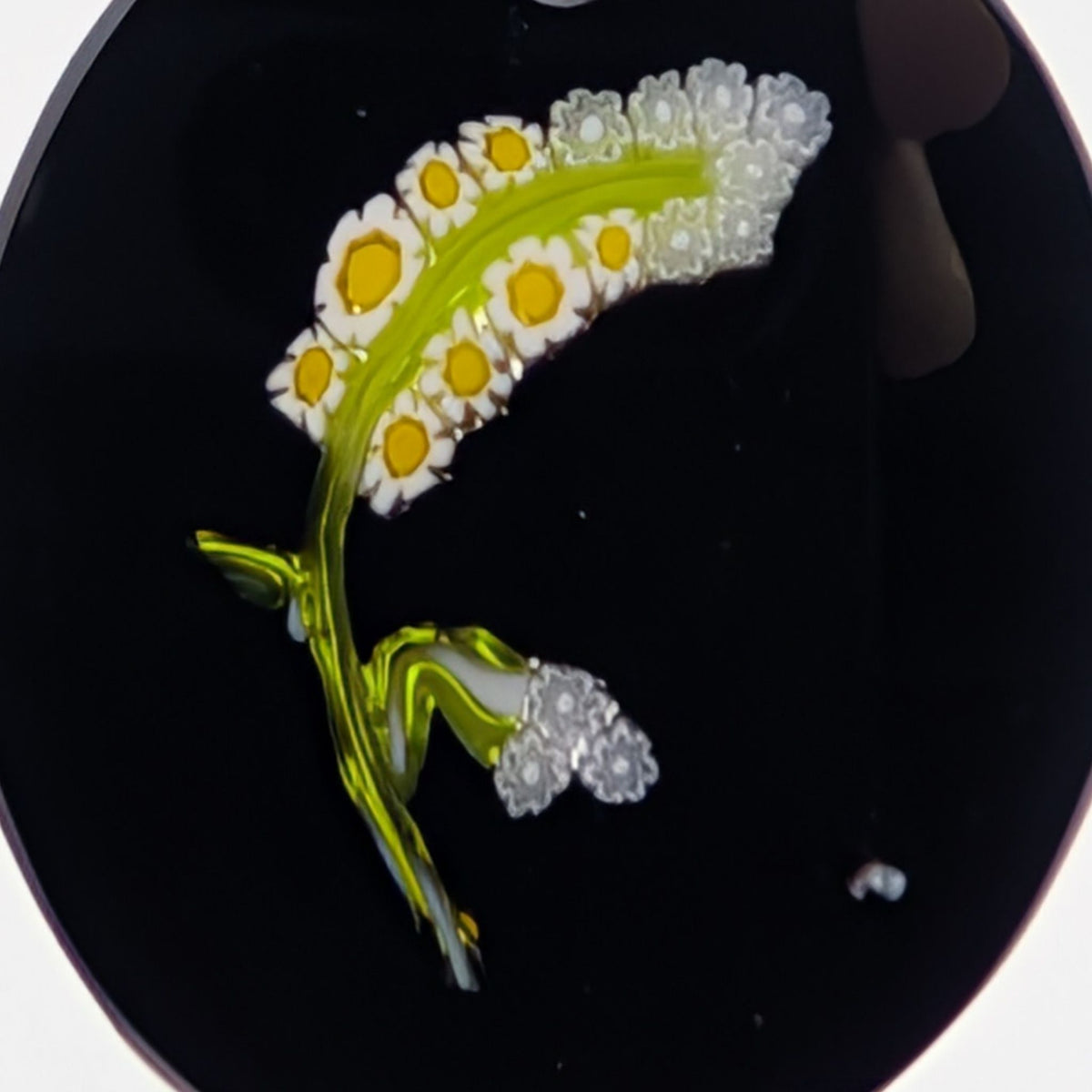 A close-up of a botanical art glass piece featuring white daisy-like flowers with bright yellow centers and a translucent olive-green stem, set against a dark circular background.